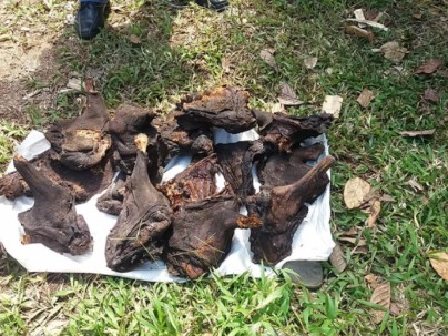 Foto: Ministerio Del Ambiente