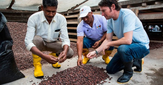 Paccari, chocolate fabricado con cacao sostenible y valor agregado / Foto: EFE