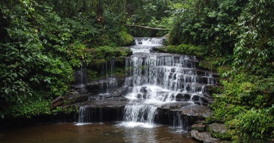 Es uno de los mayores ecosistemas de biodiversidad del mundo y el hogar de miles de especies/ Fotos: El Oriente