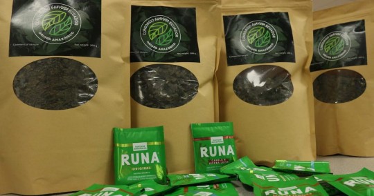 Ecuador presentó el primer Consorcio de Promoción de Exportaciones de Guayusa. Esta iniciativa busca impulsar el posicionamiento del producto en los mercados internacionales / Foto: cortesía ministerio de Producción