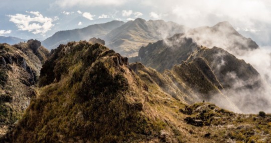 El nuevo Corredor conecta a dos áreas protegidas: el Parque Nacional Llanganates y el Parque Nacional Sangay. Tiene una superficie de 92.148 hectáreas / Foto: cortesía ministerio de Ambiente