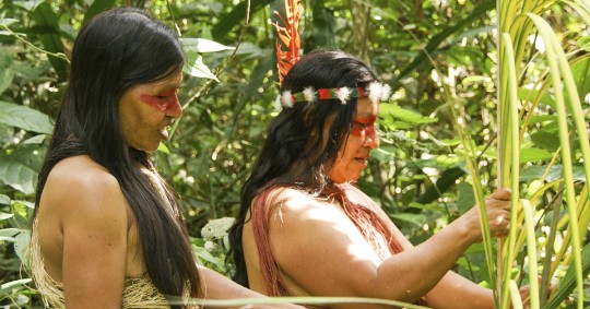 Las mujeres de la comunidad utilizan las hojas de la Chambira/ Foto: cortesía GreenCrowds
