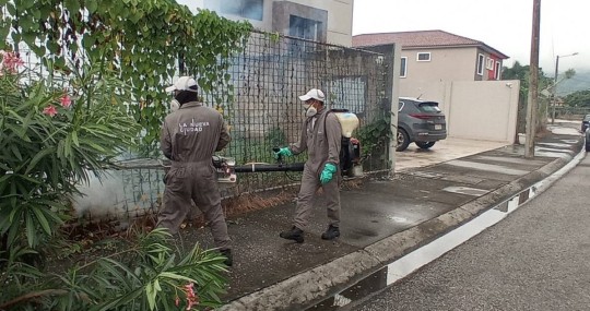 El ministerio de Salud investiga posible caso de verruga peruana en Guayaquil / Foto: Google Images