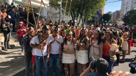 Fundación Pachamama