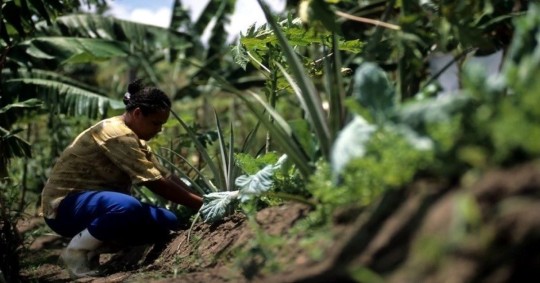 Sin embargo, las provincias de El Oriente tienen bajas tasas de empleo adecuado / Foto: cortesía  BID