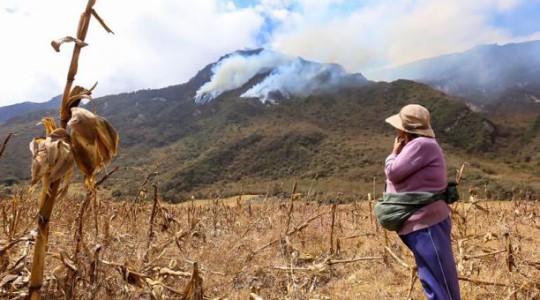 Plantas y animales de la Reserva del Pululahua están en peligro. Foto: El Comercio