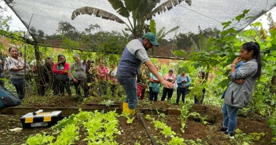 Los paquetes forman parte del Proyecto Nacional de Semillas para Agrocadenas Estratégicas / Foto: cortesía ministerio de Agricultura