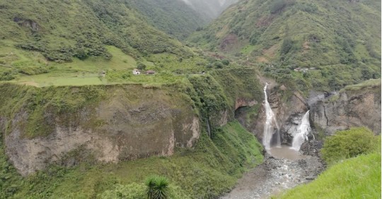 Ecuador tiene un nuevo bosque protector/ Foto: cortesía Ministerio de Ambiente