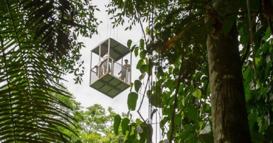 El artículo se tituló: Hay una nueva forma de recorrer la selva amazónica: en grúa/ Foto: cortesía Sacha Lodge