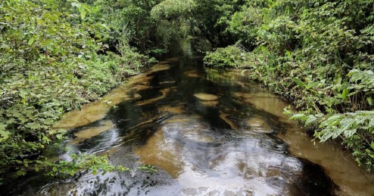 Petroecuador anuncia el inicio de investigaciones; la Conaie menciona que se trata de un desastre ambiental/ Foto: cortesía Confeniae