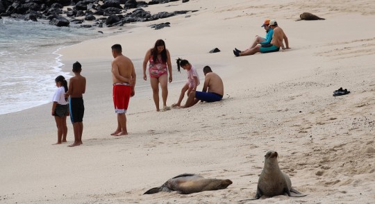 Galápagos, entre los embates de la pandemia y restricciones medioambientales / Foto: EFE