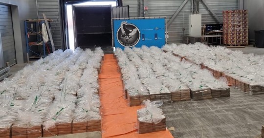 El contenedor cargaba 8.064 kilos de cocaína y que llegó a Róterdam pasando por Panamá con la droga escondida entre plátanos/ Foto: cortesía Openbaar Ministerie Rotterdam