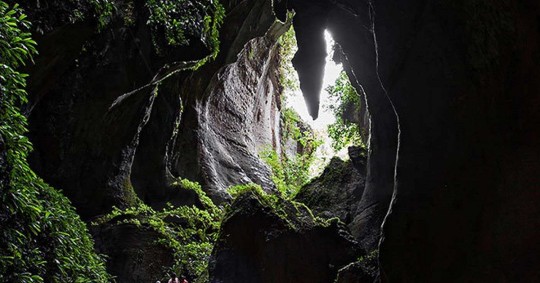 Están situados a aproximadamente 56 km de Macas y a 64 km de la del Puyo/ Foto: cortesía 