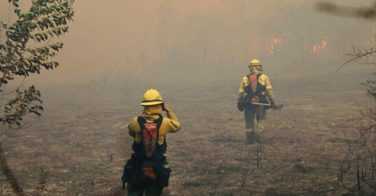 Enormes llamaradas han consumido bosques y amenazan con llegar a sitios poblados de la zona / Foto: cortesía Bomberos Quito
