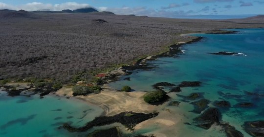 El proyecto Restauración Ecológica en Floreana comenzará con la primera aplicación de cebos para erradicar del ecosistema de esta isla a las especies invasoras / Foto: EFE