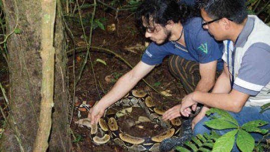 Liberaron a 24 animales silvestres - Foto: El Universo