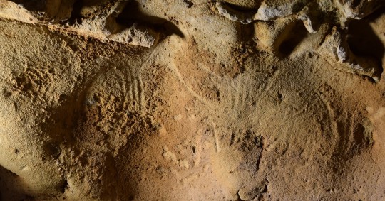 La cueva de la Roche-Cotard, en el centro de Francia, presenta unas marcas no figurativas en la pared, que se interpretan como aleteos, hechas por manos humanas / Foto: EFE