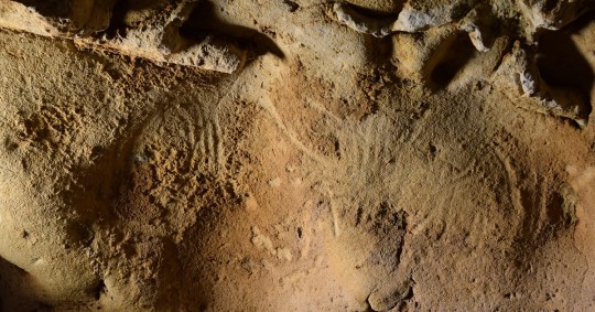La cueva de la Roche-Cotard, en el centro de Francia, presenta unas marcas no figurativas en la pared, que se interpretan como aleteos, hechas por manos humanas / Foto: EFE