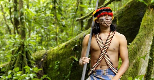 Habitan en un territorio de 679,000 hectáreas en las provincias de Pastaza y Morona Santiago/ Foto: cortesía