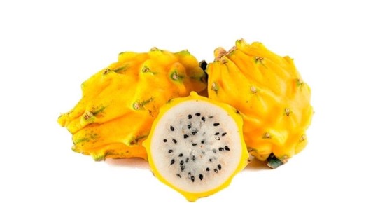 Cerca de 18 mil toneladas de pitahaya se exportaron en el 2021 / Foto: cortesía Agrocalidad