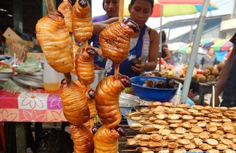 Chontacuros, un atractivo gastronómico de la Amazonía - Foto: El Tiempo