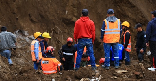 La medida comprende 152,22 hectáreas en zonas de Namza Chico, Pazán, Quebrada La Ninfa, UE Eloy Alfaro y Puente Chachán, de la parroquia Huigra/ Foto: Cortesía EFE