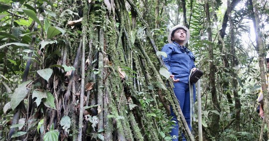 El gremio del sector energético apuntó que se debe informar a la ciudadanía desde tres ejes fundamentales: económico, ambiental y social / Foto: EFE