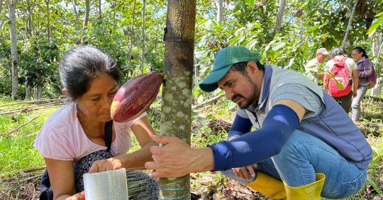 En el taller aprendieron sobre los tipos de injertos, las variedades a utilizar y las herramientas necesarias / Foto: cortesía MAG