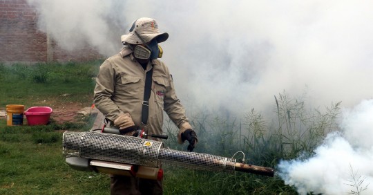 En lo que va del año, en Ecuador se han registrado 16.492 casos de dengue / Foto: EFE