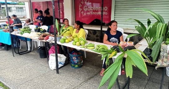 Se promocionaron varios productos como: artesanías, textiles, manualidades, plantas y alimentos amazónicos/ Foto: Cortesía MIES