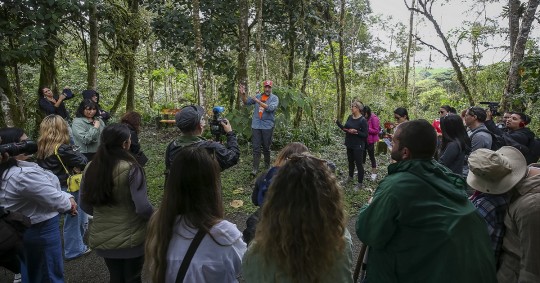 El Chocó Andino es una reserva de la biosfera situada dentro del área metropolitana de Quito/ Foto: cortesía EFE