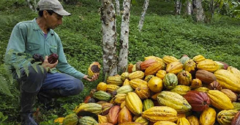Ecuador se posiciona como un referente en recursos naturales / Foto: MAAE