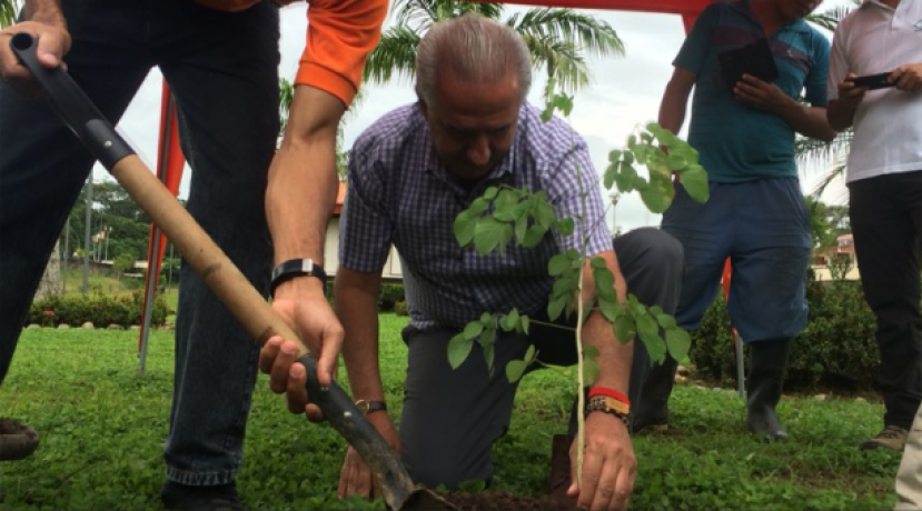 Siembran 900 plantas en la Amazonía ecuatoriana en el Día Nacional del Árbol. Foto: El Comercio