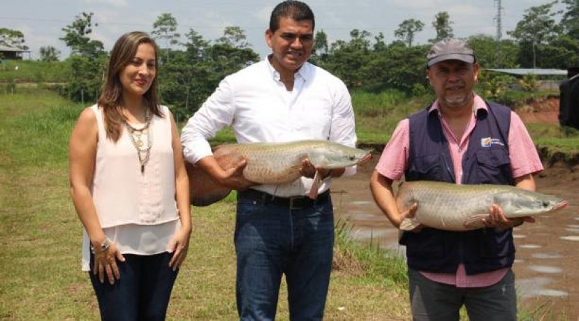 Foto: El Comercio Foto: El Comercio