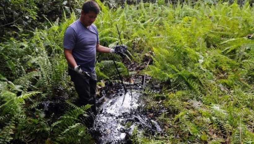 Afectados por Chevron señalaban como histórico fallo en Ecuador. Foto: NCN 24