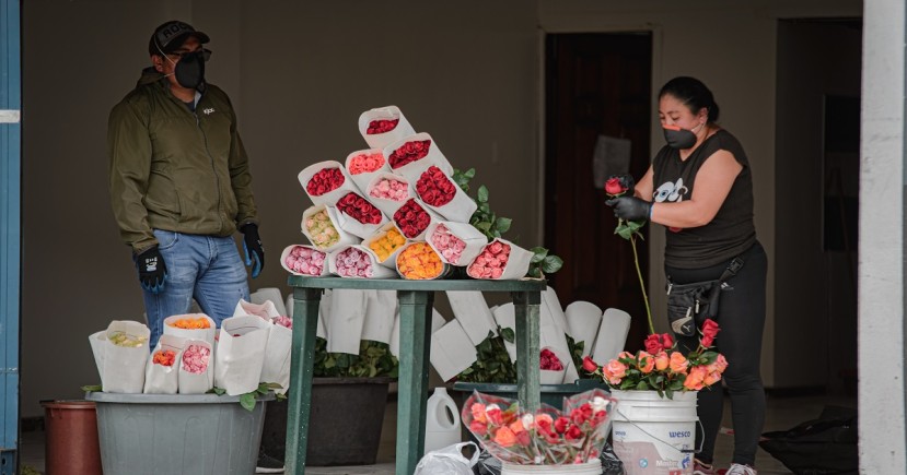 Ecuador celebró el Día de la Madre bajo confinamiento y por la web / Foto: Shutterstock