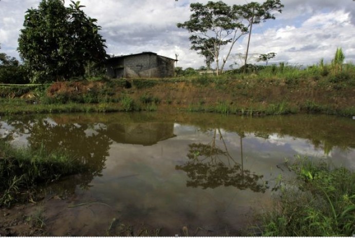 Oil floats on the water near a home in Lago Agrio, Ecuador, in 2008. An international tribunal found Ecuador violated a treaty with the U.S. by allowing its court system to issue a $9.5 billion judgment against Chevron in the environmental case. Photo: WSJ Oil floats on the water near a home in Lago Agrio, Ecuador, in 2008. An international tribunal found Ecuador violated a treaty with the U.S. by allowing its court system to issue a $9.5 billion judgment against Chevron in the environmental case. Photo: WSJ