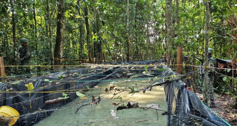 Los soldados encontraron 1 acople clandestino, 1 piscina artesanal y 600 metros de manguera / Foto: cortesía Fuerzas Armadas