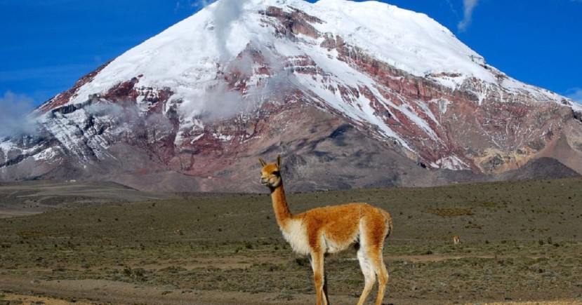 El Volcán Chimborazo, nevado importante de la Sierra del Ecuador, que llega hasta una elevación de 6263 msnm; constituye una fuente importante de agua. Fuente: El País, 2016