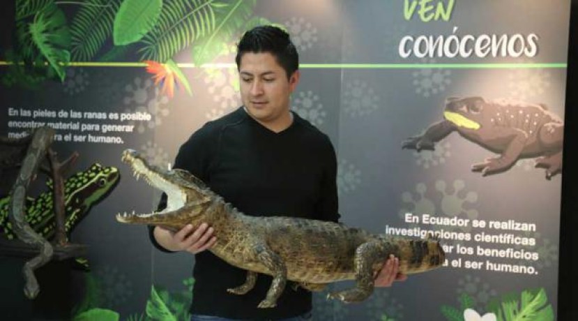 Siete museos de Quito exhibirán piezas de flora, fauna y arte del oriente ecuatoriano. Foto: El Comercio