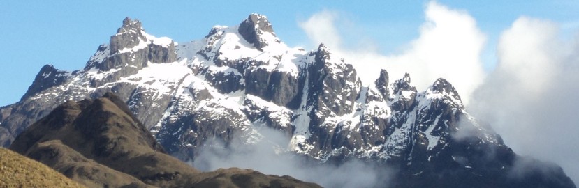 El expediente lo ingresaron los gobiernos provinciales de Pastaza, Tungurahua y Morona Santiago / Foto: cortesía ministerio de Ambiente 