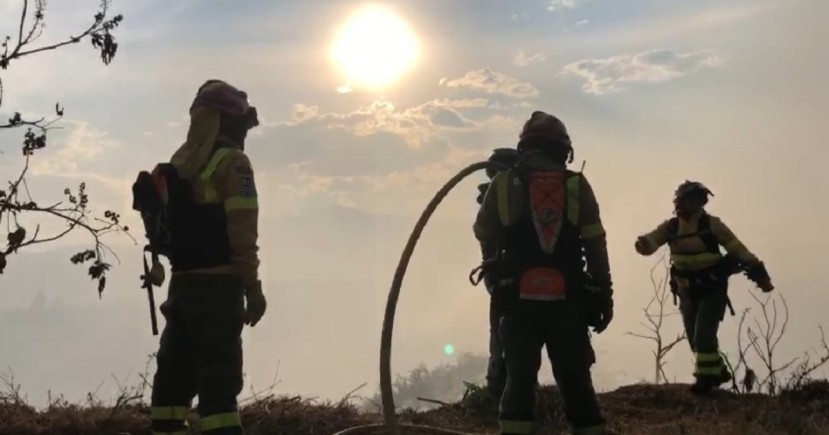 Principales noticias de Ecuador hoy - 31 de Agosto de 2023 / Foto: cortesía Bomberos Quito 