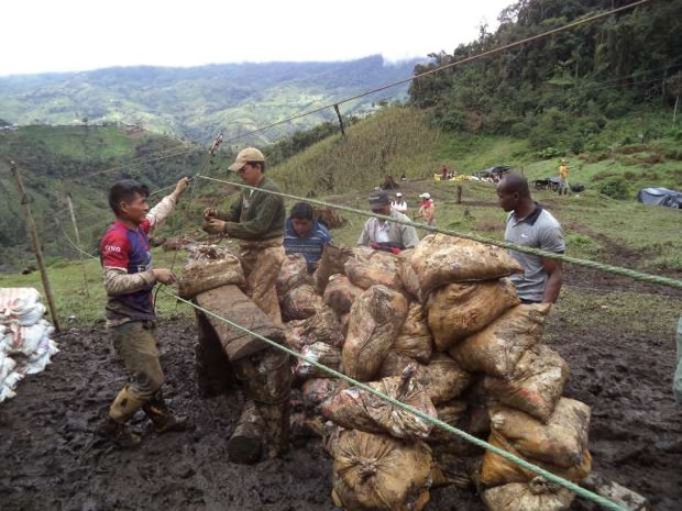 HECHO. Más de 9.000 bultos de material mineralizado se han decomisado en 2019. Foto: La Hora