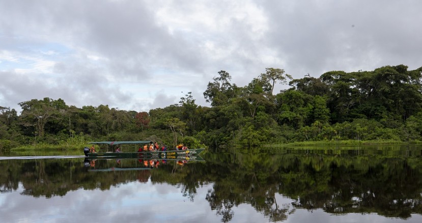 El Ejecutivo reconoció la importancia de los pueblos y de las comunidades indígenas, y en este caso de los pueblos no contactados / Foto: EFE El Ejecutivo reconoció la importancia de los pueblos y de las comunidades indígenas, y en este caso de los pueblos no contactados / Foto: EFE