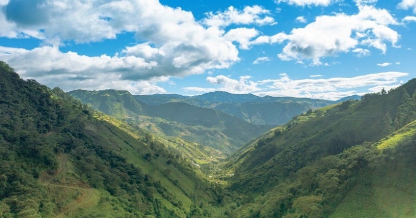 Contiene 5 ecosistemas agrupados en 2 categorías: páramos y bosques montanos / Foto: cortesía MAATE Contiene 5 ecosistemas agrupados en 2 categorías: páramos y bosques montanos / Foto: cortesía MAATE