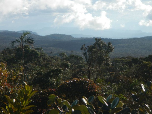 Reserva Biológica El Quimi - Foto: El Universo