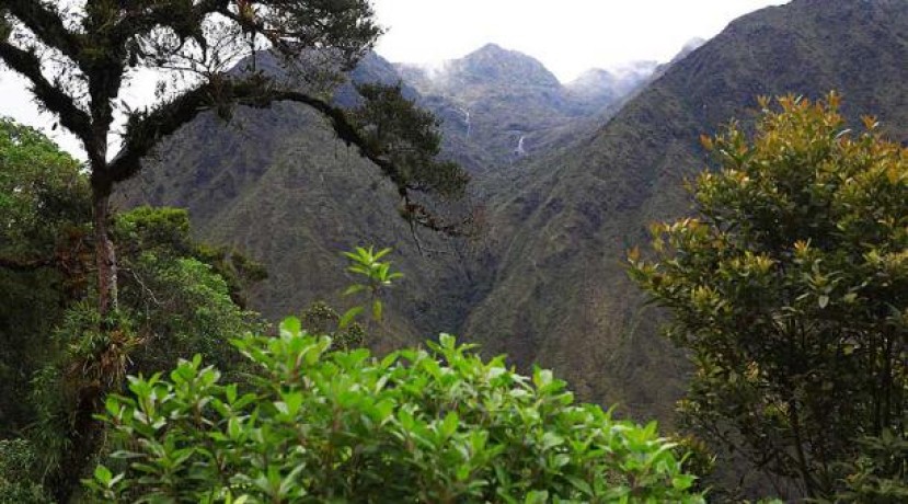 La población de la comunidad de San Andrés busca desarrollar el turismo alternativo en este sector. Foto:  El Comercio
