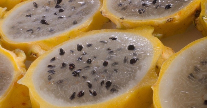Las exportaciones de pitahaya son golpeadas por el rebrote de Covid-19 en China / Foto: cortesía Las exportaciones de pitahaya son golpeadas por el rebrote de Covid-19 en China / Foto: cortesía
