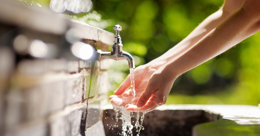 Foto: Shutterstock Foto: Shutterstock