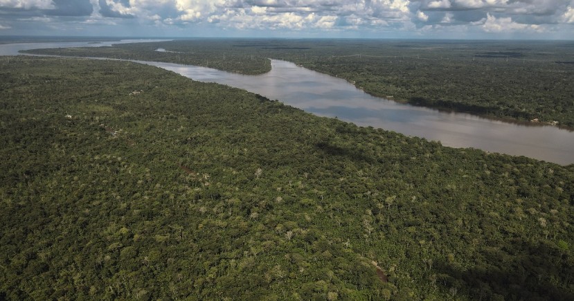 Con sus siete millones de kilómetros cuadrados, la Amazonía es el área de mayor biodiversidad del planeta y la principal reserva hídrica del mundo / Foto: EFE
